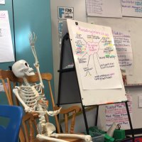 Mr. Bones (@mrbonesatnpe) 's Twitter Profile Photo