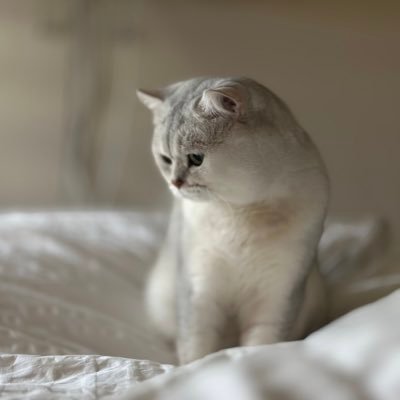 ccn02111's profile picture. 