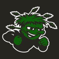 Fast Break Mean Green 7v7 (@fbmg7v7) 's Twitter Profile Photo Fast Break Mean Green 7v7 (@fbmg7v7) 's Twitter Profile Photo