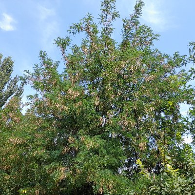 MickyboYakari's profile picture. Multivariate dependence concepts. Literature. Sports. Problem-solving enthusiast (maths). French & English. Male. Catholic.