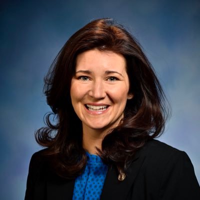 Michigan House District 65 | Freedom Fighting Mama Bear