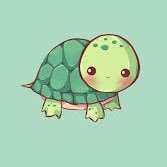 Turtle15574176 Profile Picture