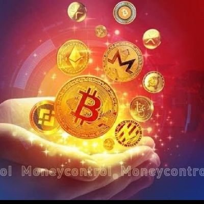 zoe15974958's profile picture. Crypto