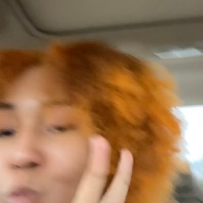 _thottobot's profile picture. degreed tryna succeed