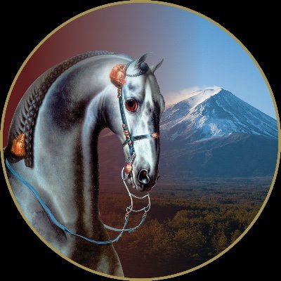 - ルジタノへの愛を共有- ルジタノとポルトガルの伝統的な馬具の販売 - 古典的馬場馬術- “芸術馬術“のショーとクリニック -
