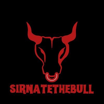 SirNateTheBull Profile Picture