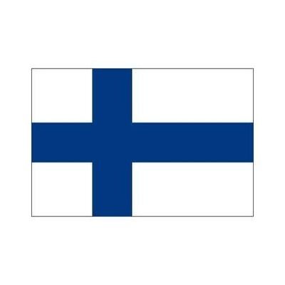 Supporter finlandais du plus grand club de France 💚