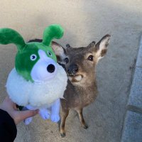 りお (@rio_br0) 's Twitter Profile