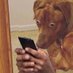 What (@rankbobber) Twitter profile photo What (@rankbobber) Twitter profile photo