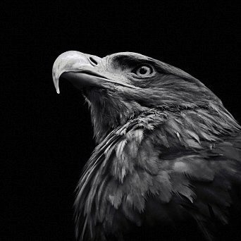 zznjv28799522's profile picture. 