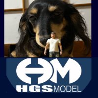 HGS model(@ModelHgs) 's Twitter Profile Photo