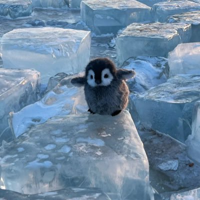 Merpatilangka's profile picture. 