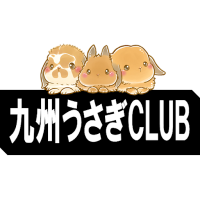 アメリカンラビット専門店九州うさぎCLUB(@usagi_club) 's Twitter Profile Photo