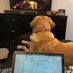 J writing Service Consultant (@jwritingservic1) Twitter profile photo J writing Service Consultant (@jwritingservic1) Twitter profile photo