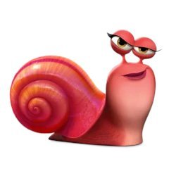 Snail Victoria
