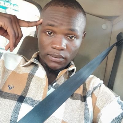 HumaruMukose's profile picture. 