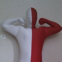 RödVit (@rvmannen) 's Twitter Profile