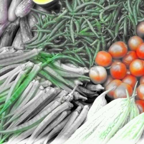 Italguerilla's profile picture. Khassa Selassie, Ceo of Sunfood Sovereign, Healer/vegan livefood Dsigner, Poet/Artist, Author of Vegan Franchise manuscript Guerilla Rawfare.