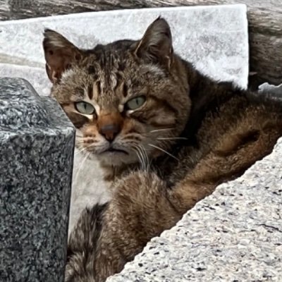ゆっさんのプロフィール画像