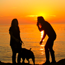 Carrie Downing - @_gotCARRIEDaway - Twitter