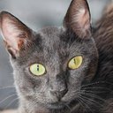 Sara Hays - @SaraHay25965725 - Twitter