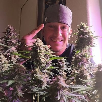 Supplier of top medical marijuana strains Denver Colorado you can as well check me out on telegram this is my chennel.https://t.co/lc1HHKoGGt