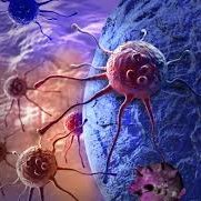 Cancer Immunology & Therapy(@JournalofCance4) 's Twitter Profile Photo