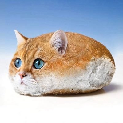 layne62's profile picture. @layne48 @layne48 @layne48 @layne48 @layne48 @layne48 @layne48 @layne48 @layne48 @layne48 @layne48 @layne48