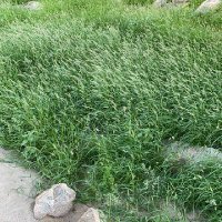 @WkA93918 (@abwtyky) Twitter profile photo