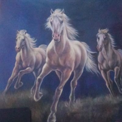 bung_kum15's profile picture. Laki-laki.