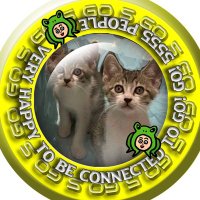 ねこにゃるまま【9期生】 (@xfsvm6u1gxgvhc6) 's Twitter Profile
