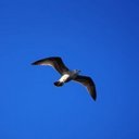 Digital_D - @DennisAndreas18 - Twitter