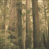 ATXgal76's profile picture. Wife & writer deep in the heart of TX. Love Haven, Once Upon a Time, True Blood, HIMYM, Hunger Games, Paramore, Broken Bells, Death Cab,& Twilight, of course.