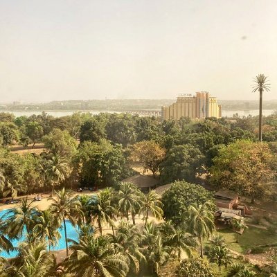 nrolandpersonal's profile picture. Analysis and Risk Management Professional | Personal Account