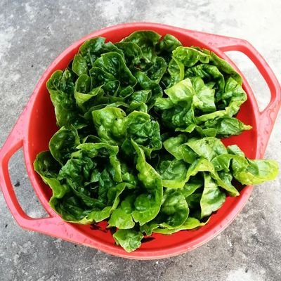 M_Burhali's profile picture. 