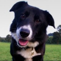 Nicola Bolton (@ndb1979) 's Twitter Profile