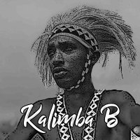 Kalimba Blaise(@KalimbaBlaise1) 's Twitter Profile Photo