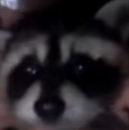 SeigneurDeLaMer's profile picture. À gauche à droite avant arrière dans tous les sens on s’amuse