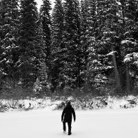 Matthew Moran (@morancsss) 's Twitter Profile