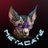 MetaCatecoin's profile image