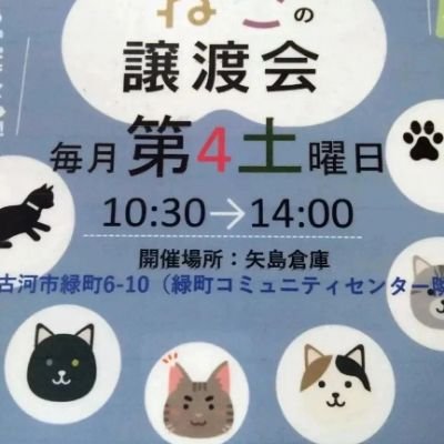 『矢島倉庫』
ハンドメイド雑貨&イベントルームのお店です✨
場所は古河市緑町コミュニティセンター隣🙆で、こっそりこっそり営業しております。

と、趣味で始めたお店が今は保護猫活動等を始め、保護猫譲渡会や啓発活動の場となっています😺

ネコ好きさん集まれ🙆

皆様のご来店をお待ちしております🙇