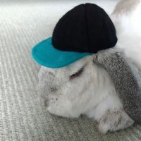 粗目 (@_zarame__) 's Twitter Profile