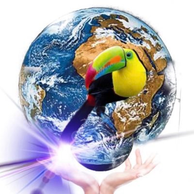 Pecjean1's profile picture. 