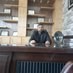 CH IRFAN BASRA (@chirfanbasra) Twitter profile photo CH IRFAN BASRA (@chirfanbasra) Twitter profile photo