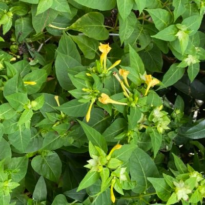 jkbTb584msJ5stb's profile picture. 