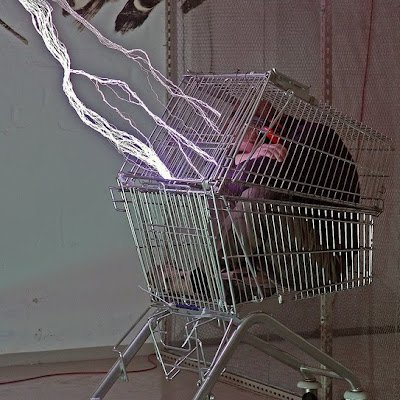 _Fara_Day_'s profile picture. 