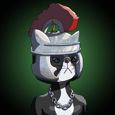 Man0w_Helmet Profile Picture