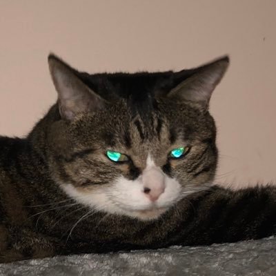 herisson1010's profile picture. 