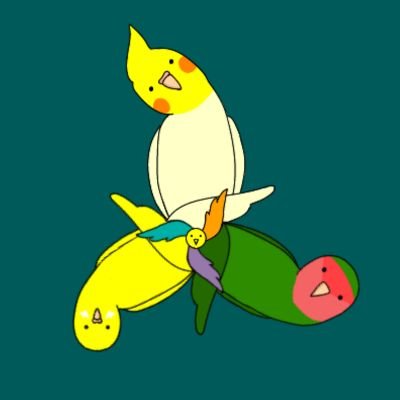 Birdroid:おーうむさんのプロフィール画像