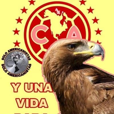 siempre ay por quién luchar y seguir adelante